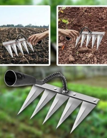 6176