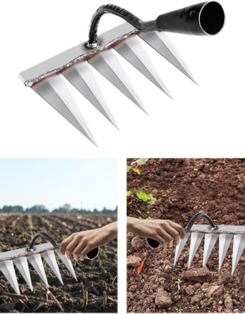6176